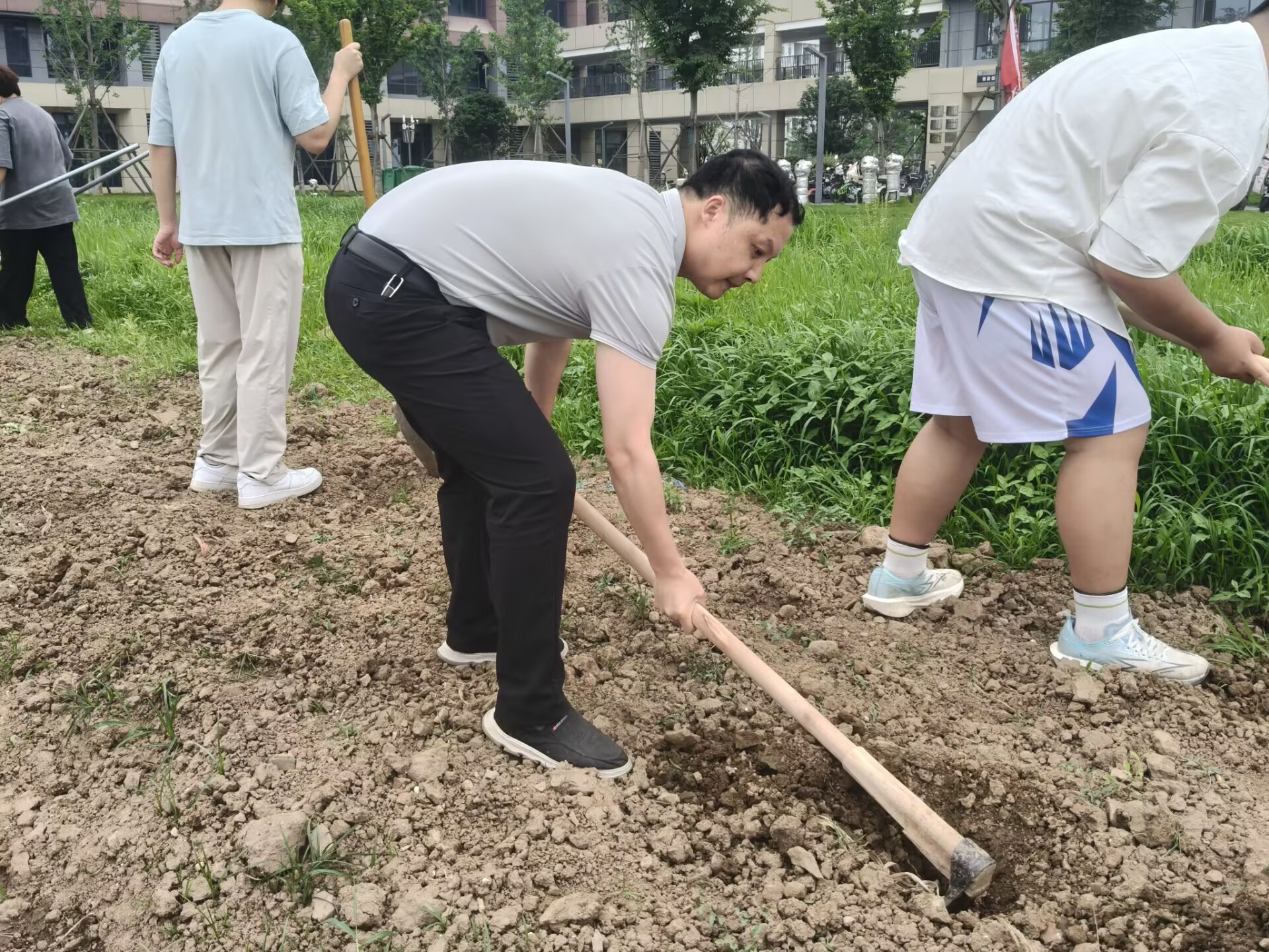 球王会平台