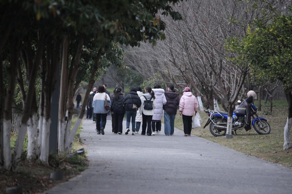 球王会平台