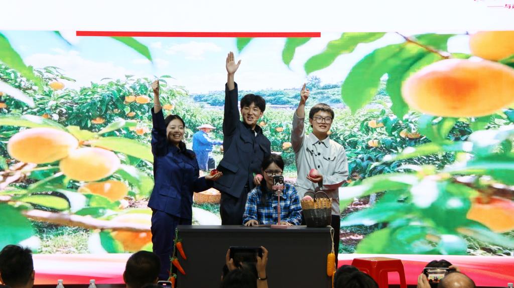 球王会平台