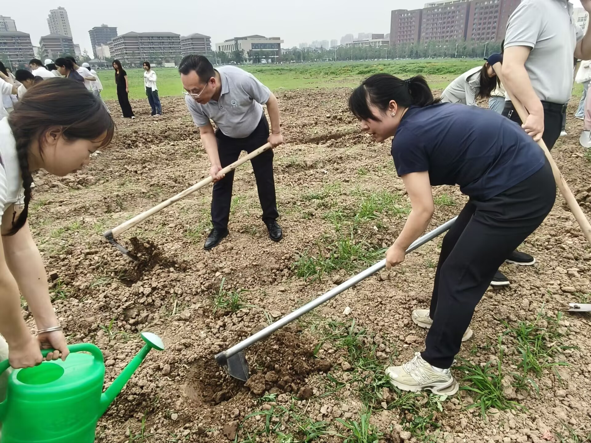 球王会平台