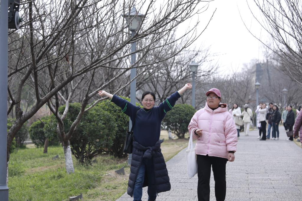 球王会平台